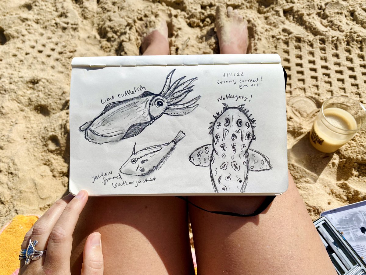 Today at #CabbageTreeBay 🐠