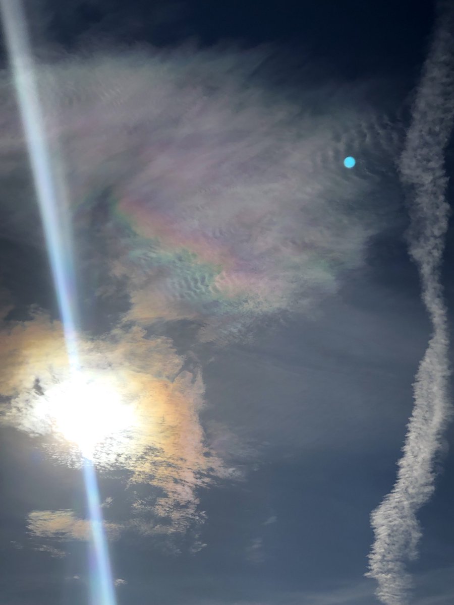 Donny Boy 4.0 tweet media