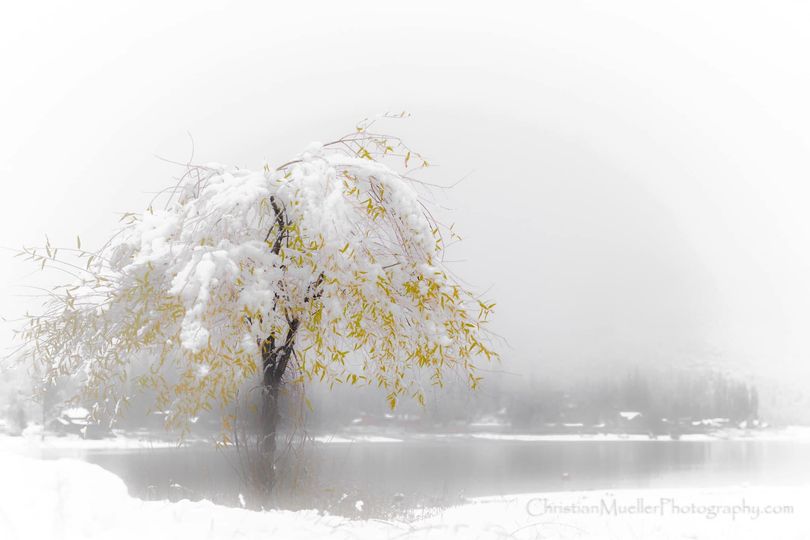 conta.cc/3NXwk40
conta.cc/3hrmbAB