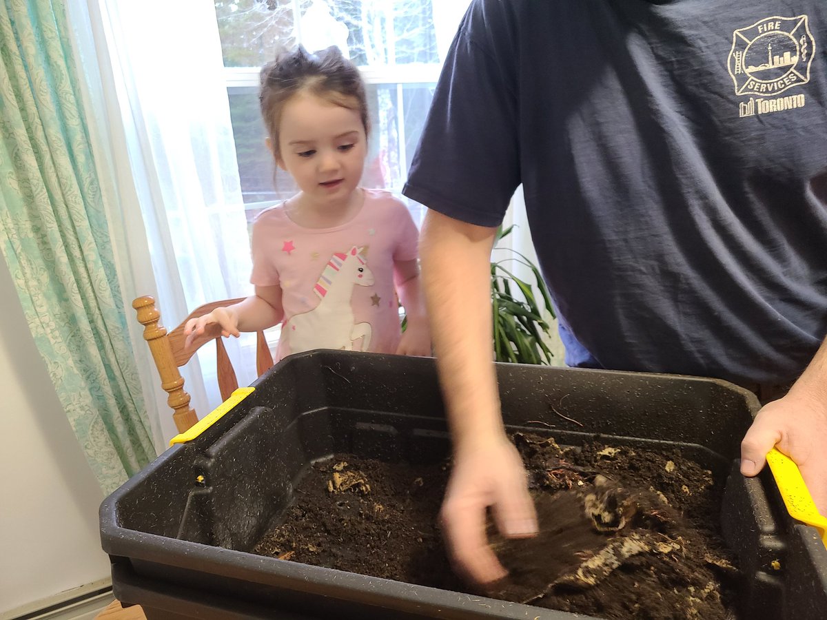 Cheers to my husband <a href="/dominicodriscol/">Dominic O'Driscoll</a> for building worm bins and trusting them to my third grade classroom for the school year! Kids will be composting all year and using the casting as fertilizer in the Spring #elementary #gardening #science