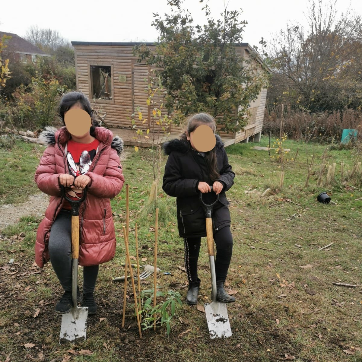 The Venturists tweet media