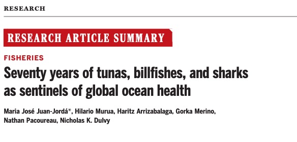 NickDulvy's tweet photo. #Newslert New study published in @ScienceMagazine
We calculate a continuous #RedListIndex (RLI) of oceanic predatory fishes tracking yearly changes in #extinctionrisk in 18 oceanic tunas, billfishes & sharks over 70 yrs.
⇒Full article https://t.co/FIlXGGdVps
1/5 https://t.co/1BL7JFDCYd