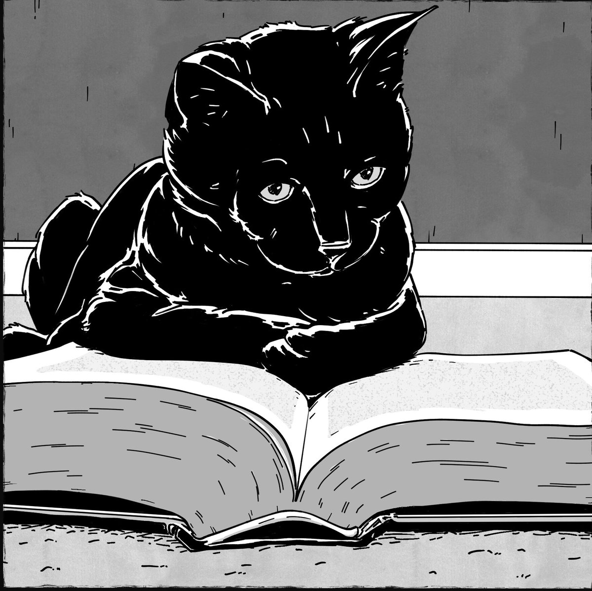 ruben_corella's tweet photo. #drawing #blackandwhite #blackcat #books #lecture #lectura #art #arte #ink #tinta #blancoynegro #gato #catlover #gatonegro #cultura #bibliotecas #catfan #catlovers #goodluck #novela #dibujo #icons https://t.co/PgDo3LToKx