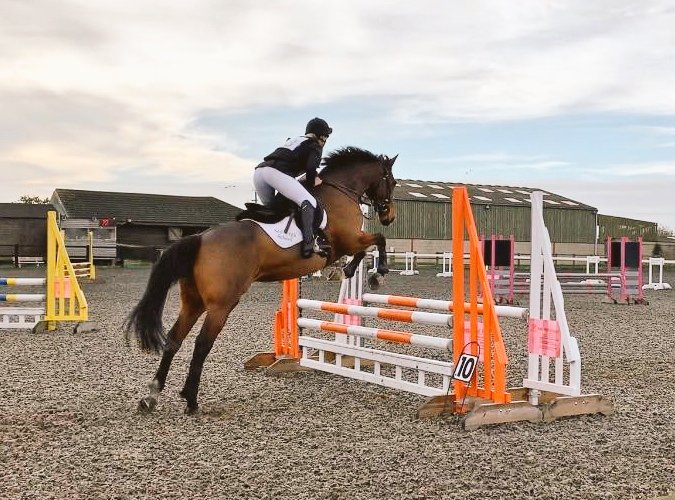 Georgia competed for Sedbergh last weekend &amp; rode two fabulous clears #qualifier #welldone <a href="/Carus_Sedbergh/">Carus House</a>