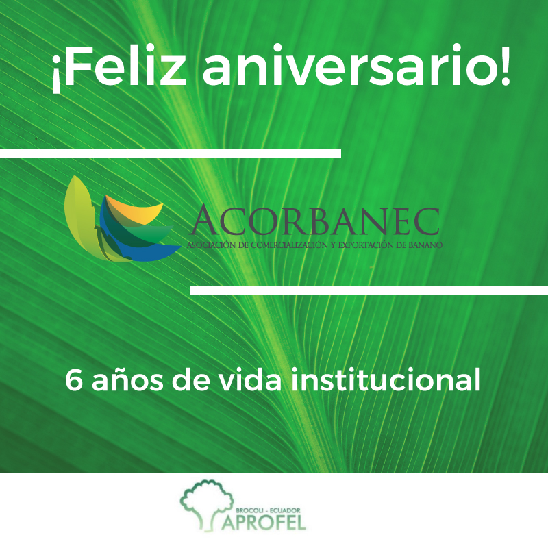aprofel's tweet image. Felicitamos a @acorbanec en su sexto aniversario. Que sigan cosechando éxitos en el sector bananero de nuestro país.  #Ecuador