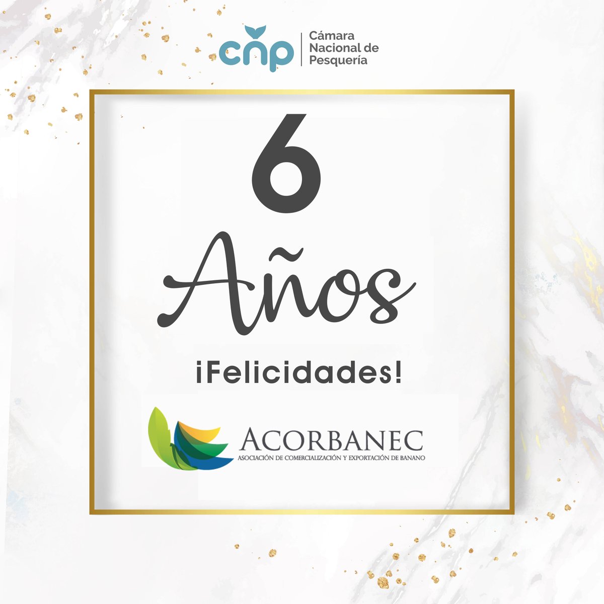 PesqueriaEc's tweet image. Felicitamos a @acorbanec en celebración de su 6to aniversario🎉 👏🍌