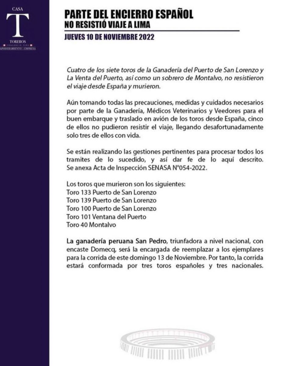 Se murieron los toros que estaban destinados a la última corrida de #acho. Cinco de ocho no resistieron el viaje de España a lima.
