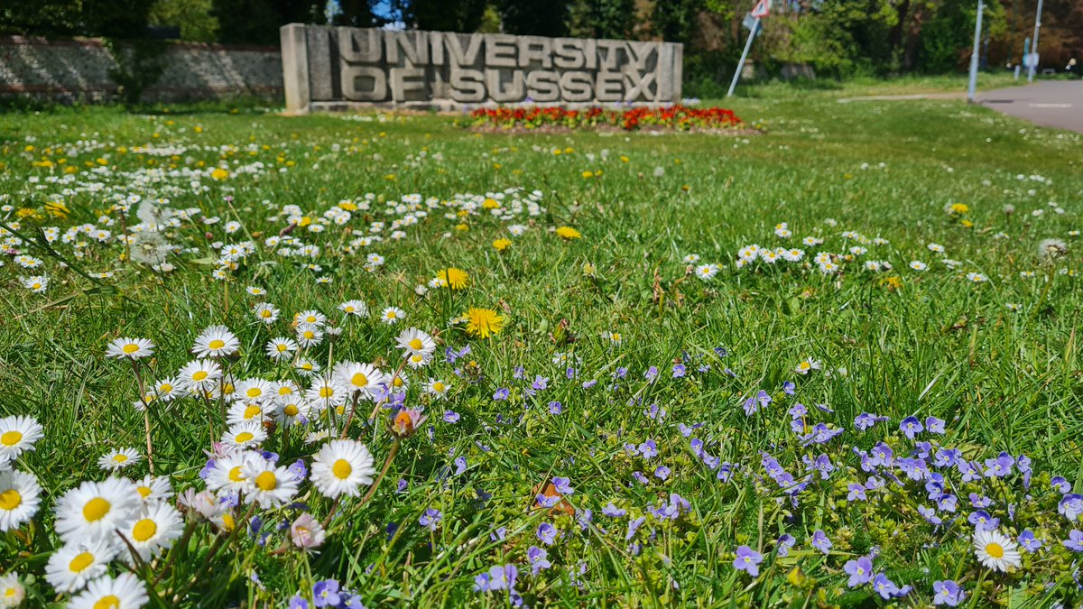 Calling all Sussex University staff and students please complete this survey about nature on our campus. We're looking for perspectives across the Schools and Departments. Please help!! Just needs a few mins. qfreeaccountssjc1.az1.qualtrics.com/jfe/form/SV_9s… @SussexUniStaff @SusxUniStudents Photo @CTRH
