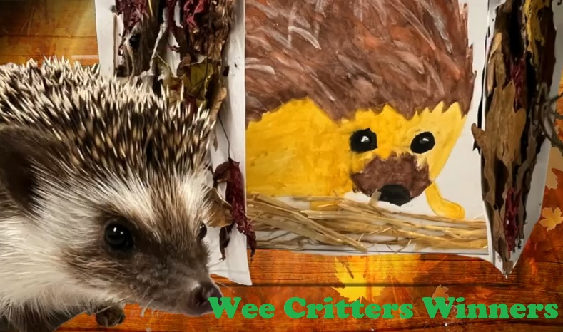 Wow! 900 entries later and we are delighted to announce the winners of our C2K Junior Newdesk competition in partnership with <a href="/WeeCrittersNI/">Wee Critters</a> tomorrow. Three lucky schools will be welcoming Allan and all of his Wee Critters into their classroom very soon...will it be yours?