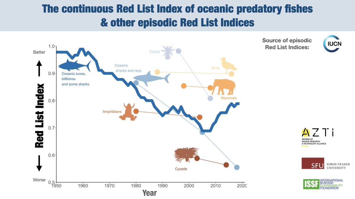 NickDulvy's tweet photo. 3/5 Our continuous #RedListIndex of oceanic predatory is based on the application of @IUCNRedList Criteria & Guidelines to abundance time-series.
⇒Thus advancing & complementing the existing episodic Red List Indices for other taxa groups derived by the @IUCNSSC https://t.co/9bztieLRkJ