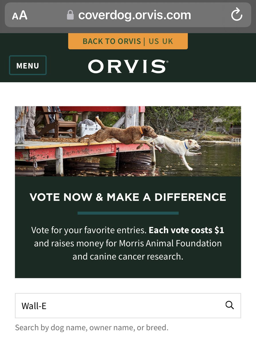 Ginger Thomas tweet media