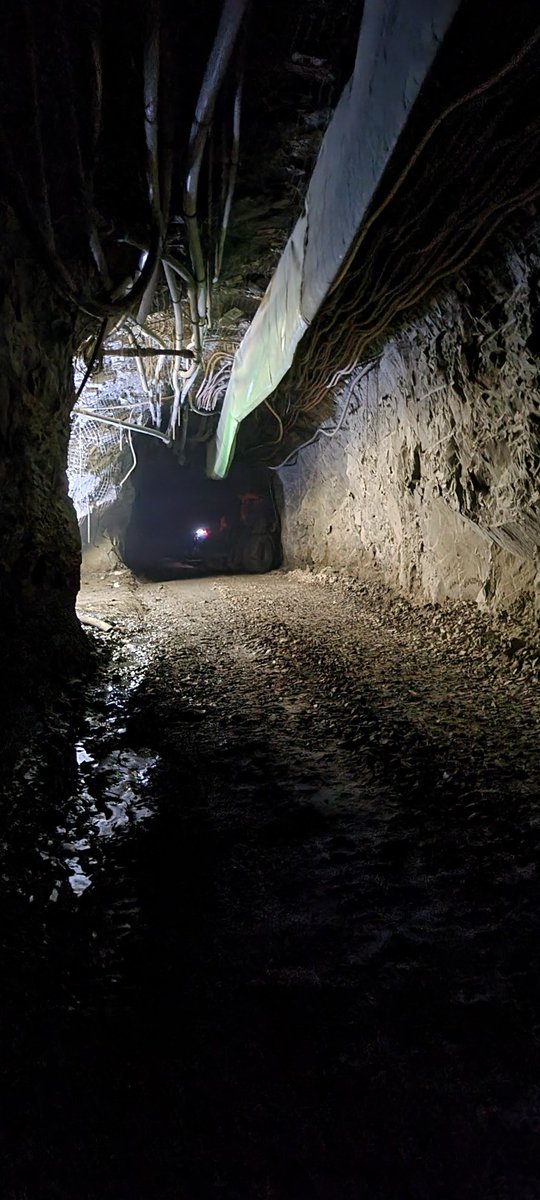 Gunnyhighway10's tweet photo. Hope everyone had a better time trying to hit the Black Adam drop. I had no chance as I'm having internet issues in the Batcave. ๐
#caveproblems #BlackAdam #DCNFT @DCNFTOfficial @batcowls #BatCowls https://t.co/jWGeBDeoIA