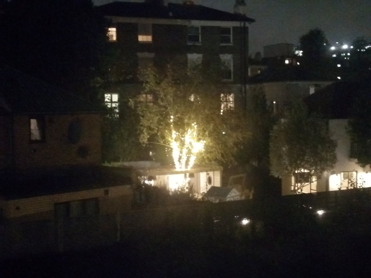 HMellidew's tweet photo. #ClimateCrisis neighbours  #NW3 regularly light up  tree in garden. Pretty  yes. They obviously don't think of their children's future/anybody else's. Such an appalling waste😠 No wonder the world is in such a mess. What I call #mememe phemnomeon, as in I shall do what I like. https://t.co/n8MMNULW5O