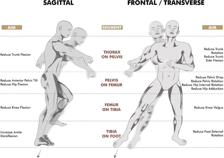 My bias on biomechanics for CoD is influenced by  <a href="/enda_king/">Enda King PhD</a> <a href="/ChrisRichterPhD/">Chris Richter</a> <a href="/afranklynmiller/">Dr. Andy Franklyn-Miller</a> <a href="/sscsportsmed/">SSC Sports Medicine</a> 

So please go and get lost in the 100’s of publications from this group. 

Keeping players on the pitch ⚽️ 🏉 🏒 requires that you know this stuff.