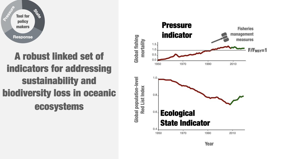 mjjuanjorda's tweet photo. The #RedListIndex of oceanic predatory fishes is highly sensitive and responsive to #fishingmortality
➡️ providing a robust linked set of indicators for tracking global sustainability and biodiversity targets.
#SDG #SDG14 #GBF @UNBiodiversity @UN_SDG @4Post2020BD @IPBES
🧵 1/5 https://t.co/hDrR7U9Wpw