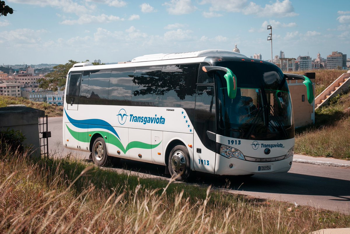 transgaviota's tweet photo. Una garantía absoluta en la transportación terrestre. ¡#TransGaviotaCuba, calidad de servicio!

An absolute guarantee in ground transportation.
#TransGaviotaCuba, quality of service!

#CubaDestinoSeguro #CubaSafeDestination #RenuevaTuEspíritu #CuentaConNosotros #photo https://t.co/Lc6doPkcUA
