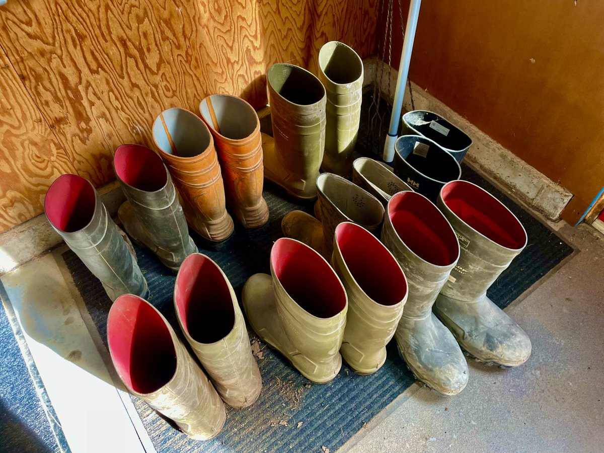 Sponsored by @Boots_Dunlop? Not yet...... How many more pairs do we have to buy? Side note: we would love to see some smaller ladies sizes 🥾👌

#findyourfarmmatch

#rubberboots #FarmLife #Construction #notsoOCD #thebestboots