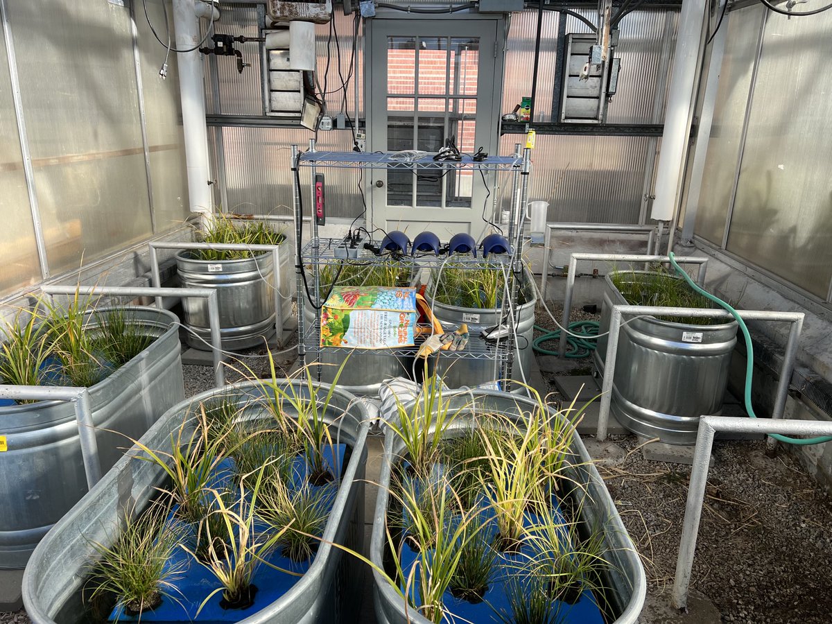 Shannon Bartelt-Hunt tweet media