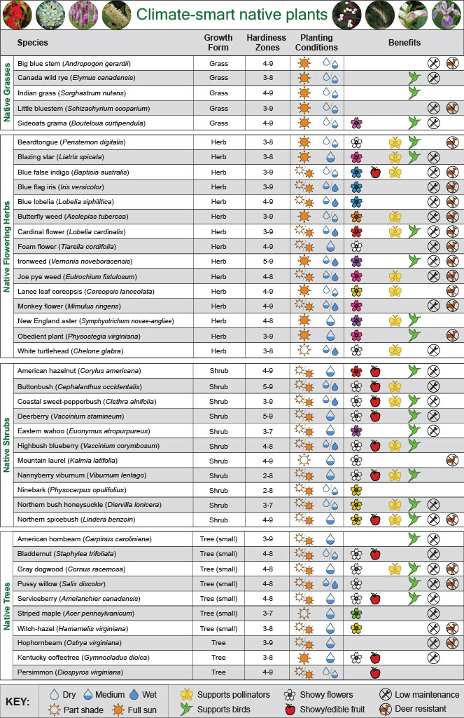 Benefits of planting native species in a changing climate.
ow.ly/z4Z050LAmJY