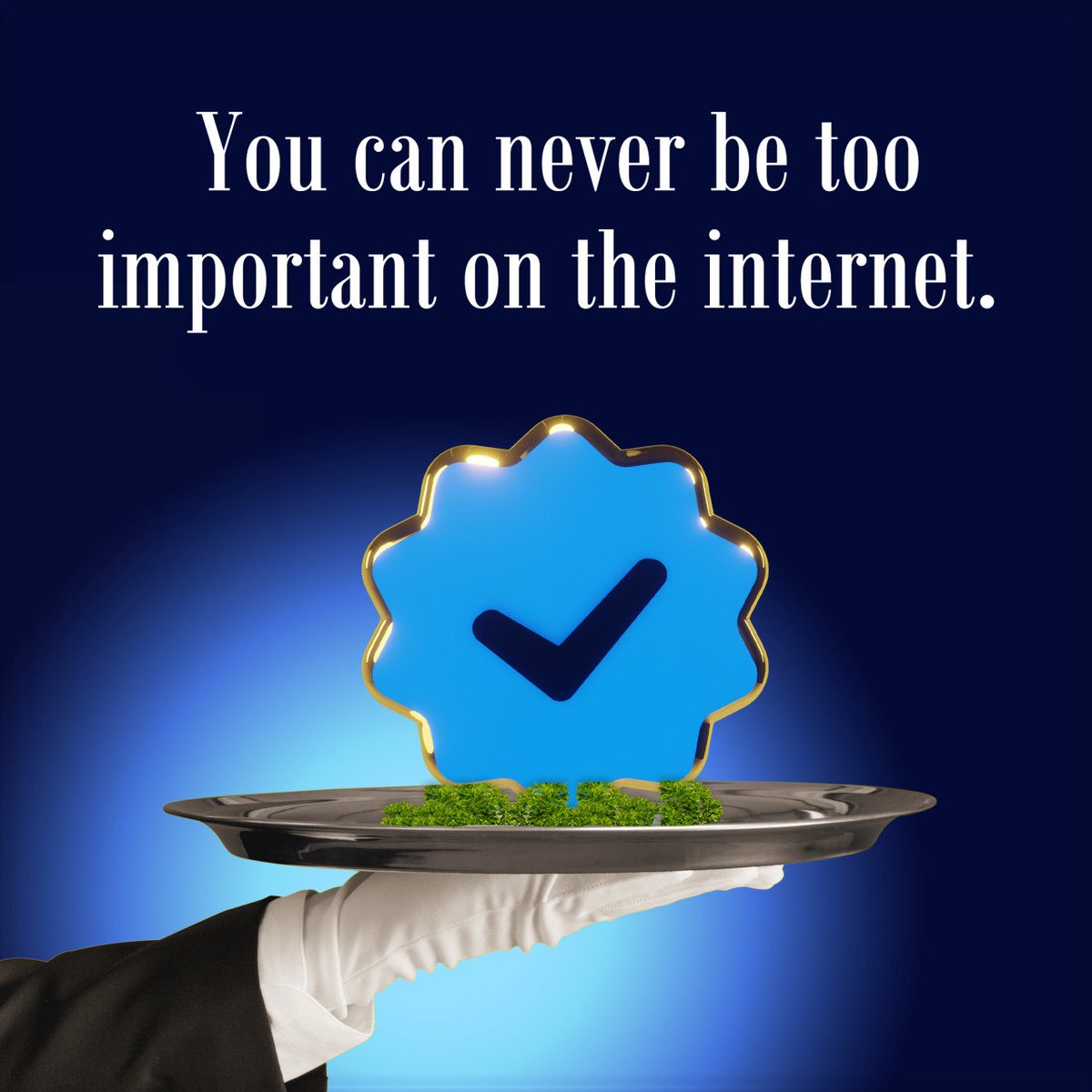 Get your Important Blue Internet Checkmarks on Tumblr.com!

They're a steal at $7.99—considering that you get not one, but TWO checkmarks for your blog!

Why, you ask?
Why not?

Nothing matters! ¯\_(ツ)_/¯

ACT NOW at.tumblr.com/important-chec…