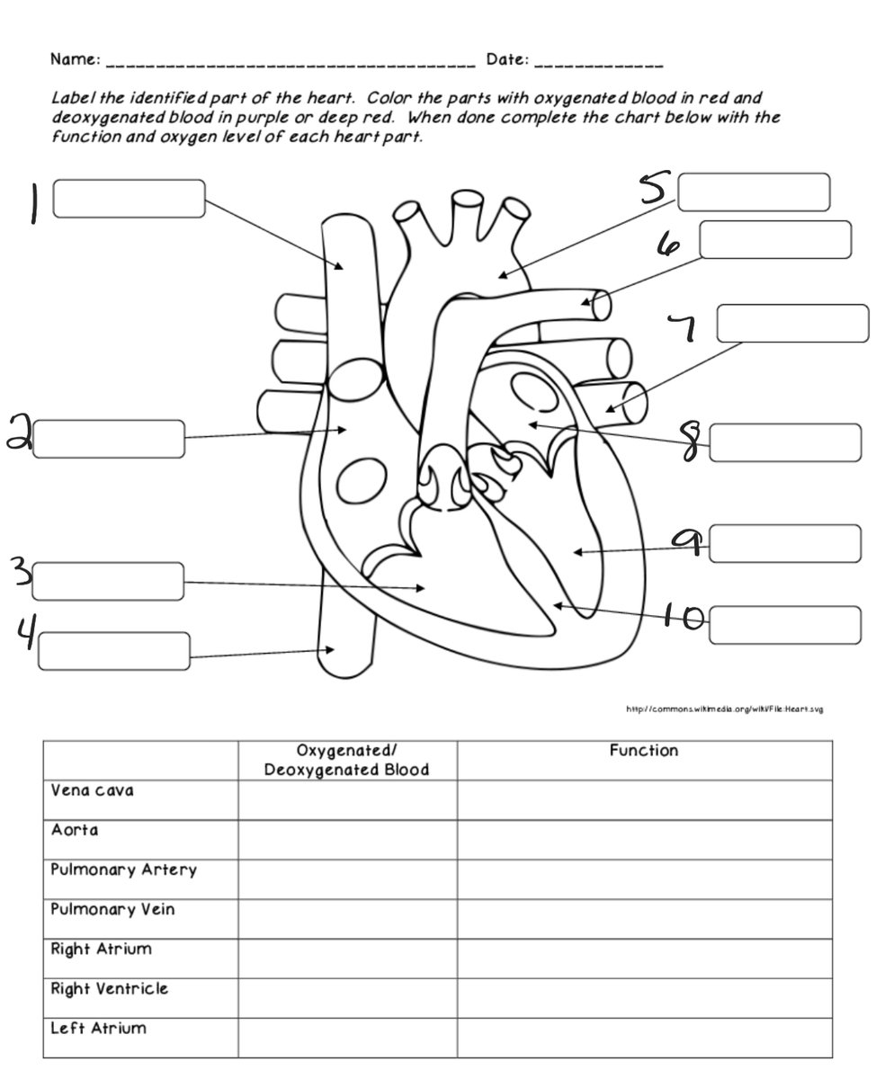 ImChaunce's tweet image. #emslife #emtbasic #emergencymedicalservices #heartflow