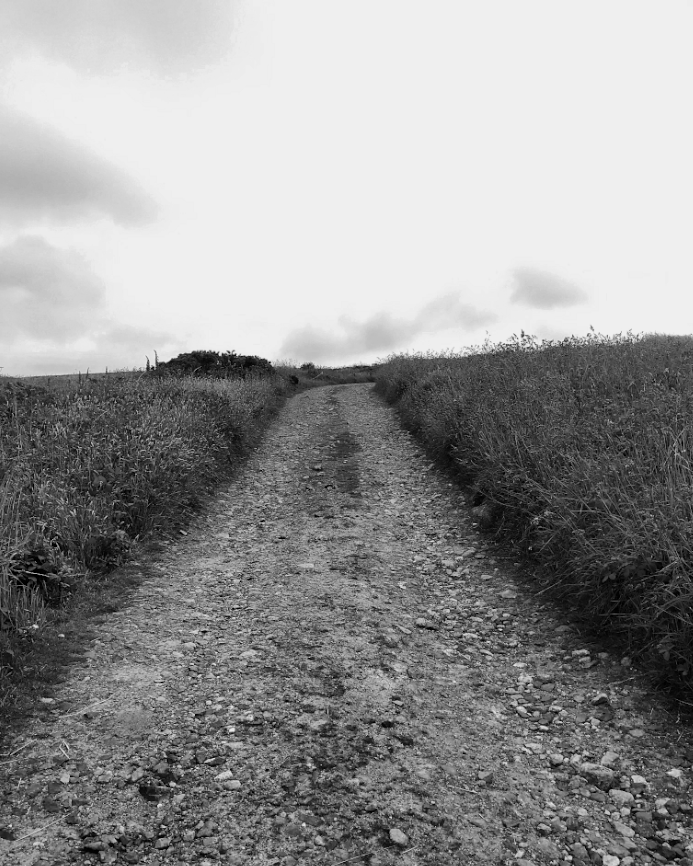 HooklandGuide's tweet photo. There's a network of lych ways and coffin tracks on Barrowcross and North Moor. Old processional paths the dead were carried along to nearest church for burial. Mostly neglected in an era of Co-op funerals, some still see use. There are limits to where most hearses can get. https://t.co/vr2h7RRI6t