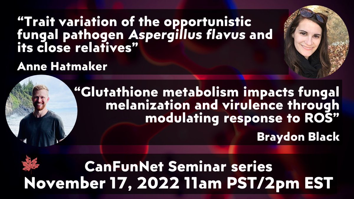 CanFunNet's tweet photo. Check out the November installation of our trainee seminar series next week on Nov 17 11am PST/2pm EST on zoom! 🍄

Featuring @b_ray_don and @annemakerofhats with a doubleheader on fungal pathogens!

Register here for the zoom link:
https://t.co/aD52k63xSD https://t.co/bXr2Zi2qlW