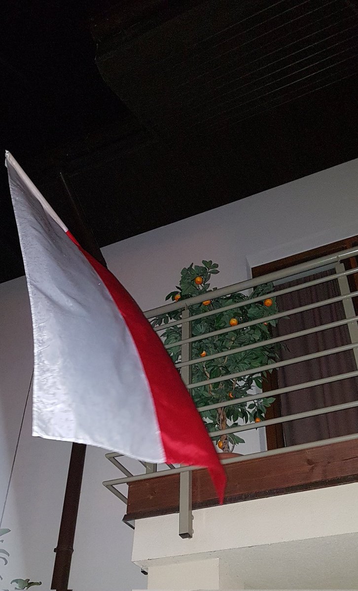 🇵🇱 ✌️ #ŚwietoNiepodległości