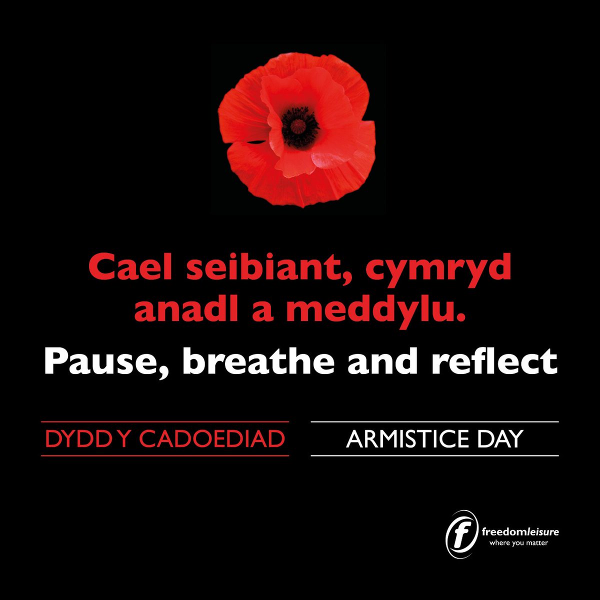 Maldwyn Leisure Centre (@maldwynlc) on Twitter photo 