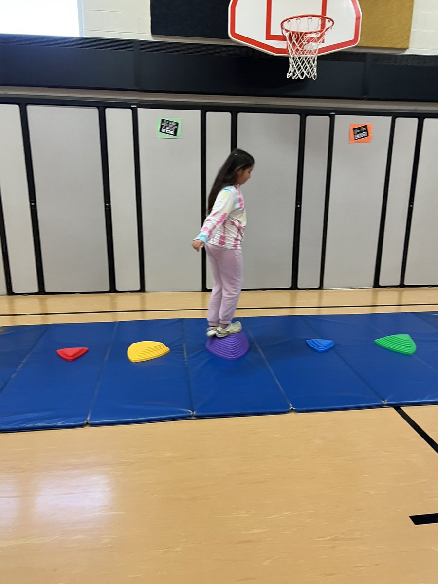MrsKlassman_PE's tweet photo. These jaguars have been working so hard during our climbing and fitness unit! 💪🏻 #leadlikeajaguar #ilbsd13 @D13Jaguars https://t.co/wkbMd0niBj