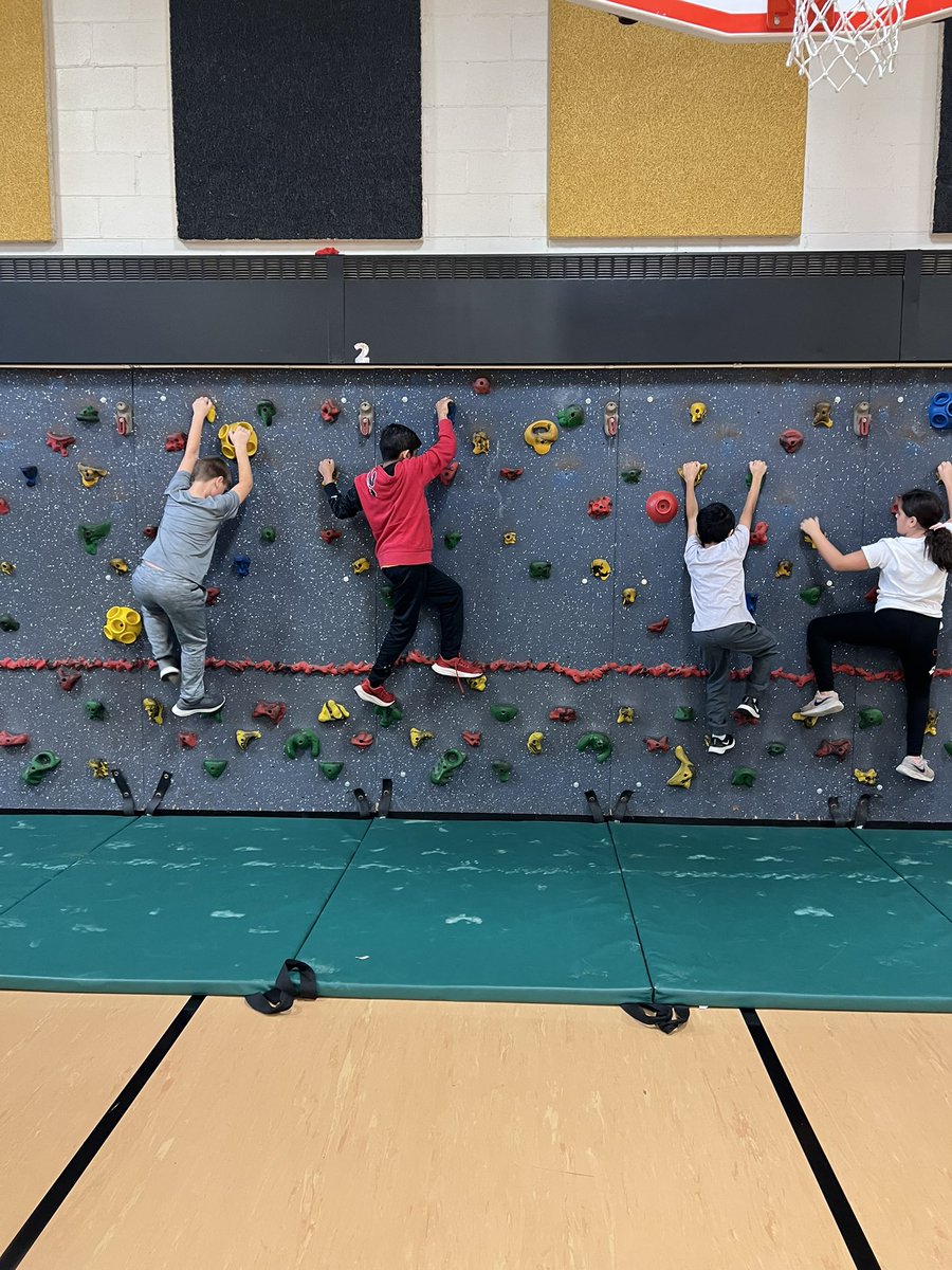 MrsKlassman_PE's tweet photo. These jaguars have been working so hard during our climbing and fitness unit! 💪🏻 #leadlikeajaguar #ilbsd13 @D13Jaguars https://t.co/wkbMd0niBj