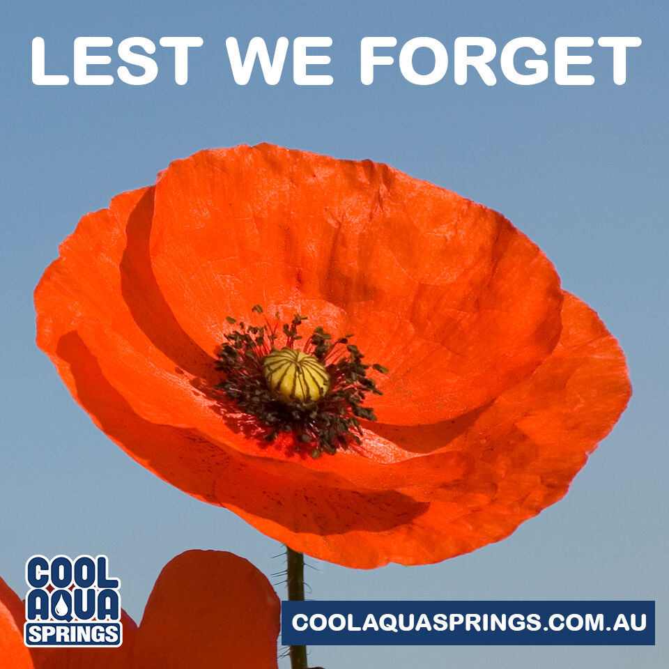 coolaquasprings's tweet image. At the eleventh hour on the 11th day, we will remember the sacrifice they made for us. Lest we forget 'Remembrance Day.' 

 coolaquasprings.com.au
#RemembranceDay #BottledSpringWater #CoolAquaSprings