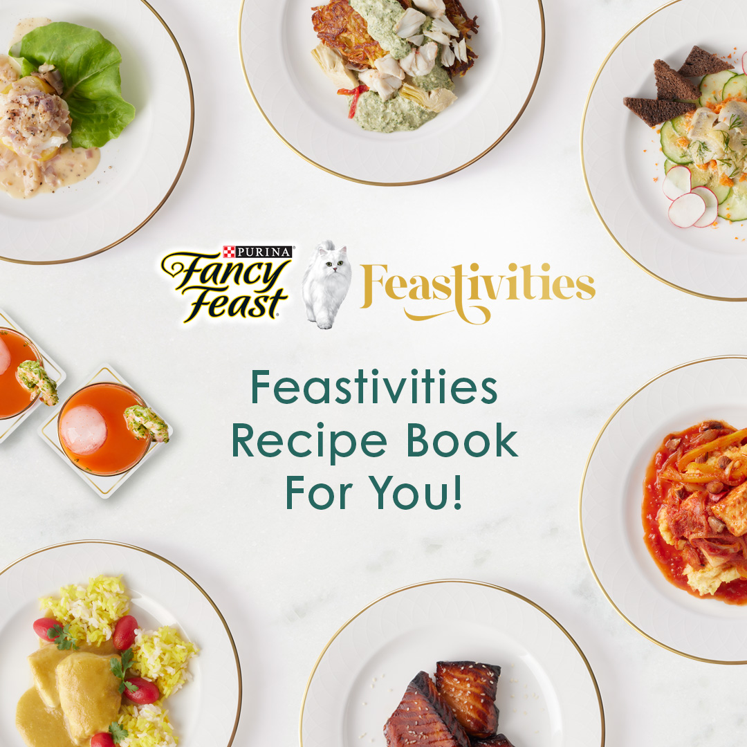 Get in the Feastivities spirit by cooking and sharing these delicious, globally inspired recipes just for humans. ​purina.com/fancy-feast/fe…