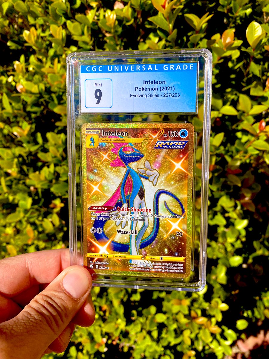gymleadergelly's tweet image. next slab giveaway is the gold inteleon from evolving skies! winner announced live on my stream 11/13! ✨

1️⃣ follow me
2️⃣ like and retweet
3️⃣ comment fav card from ES

#pokemon #pokemontcg #tcg