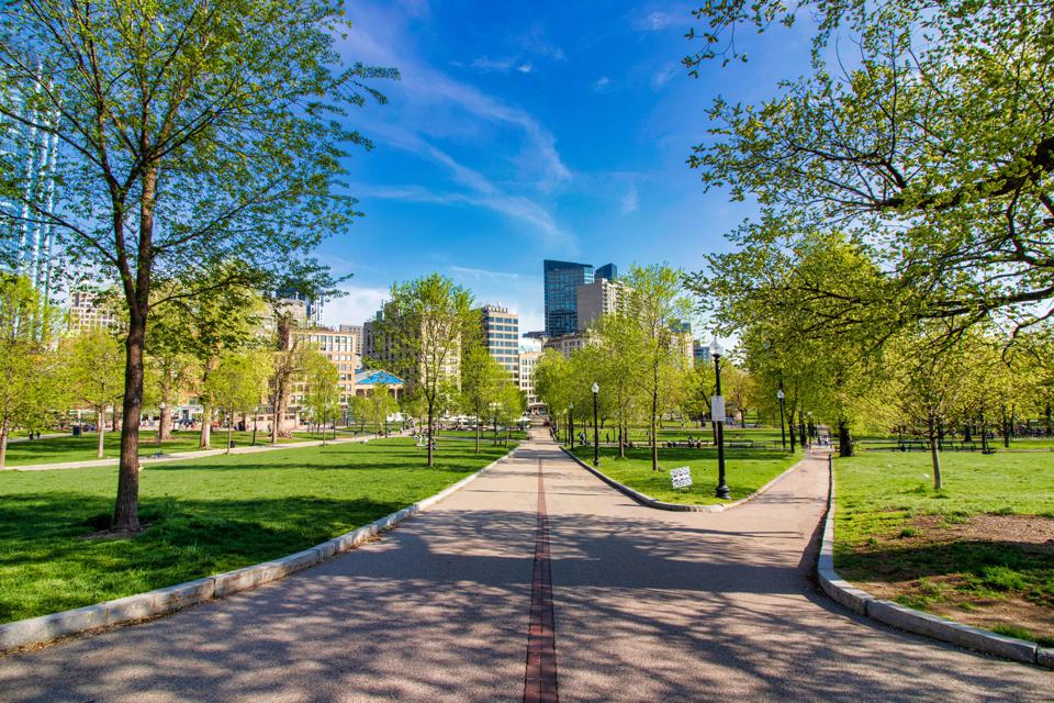 BostonCommonMP's tweet image. The "Landmark Loop" will connect major park features, within the Common. New signage and paving accents will define the pathway, guiding people to some of the most popular areas in the park!

What are your favorite park features? Let us know at bostoncommonmasterplan.com