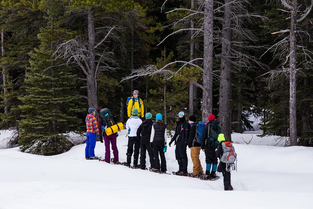 COAdventurers's tweet photo. Winter is in full swing! We offer day and overnight programs based out of Calgary. #YYCteachers - take your students #snowshoeing, #wintercamping or for a #crosscountryski excursion this winter! Learn more on our website. #Outdoorplay #outdoorlearning #outdoored #outdooreducation https://t.co/puLkHQLrfP