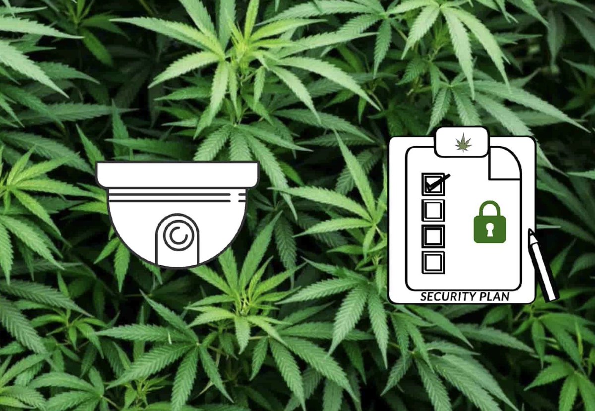 sentrysecurity's tweet image. If you’re in the process of applying for a cannabis license and in need of a state-approved security plan – or are ready to implement one, give Sentry Security a call at 847-353- 7200.

sentrysecurity.com/rapidsos/smile…