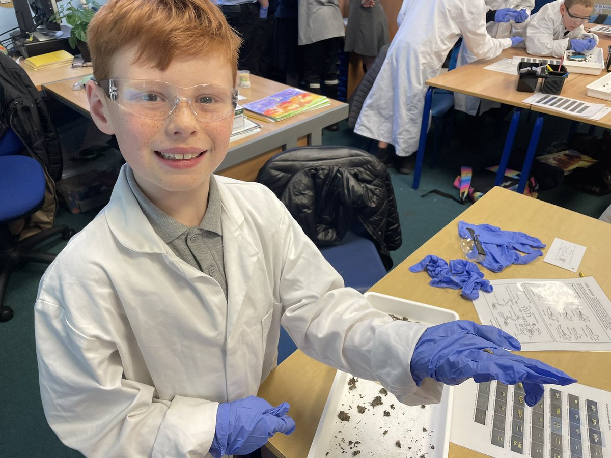 Miss Harrower tweet media