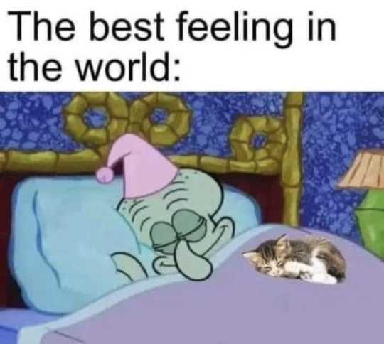 WholesomeMemes tweet media