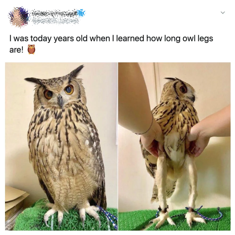 Thalia 🐌 tweet media