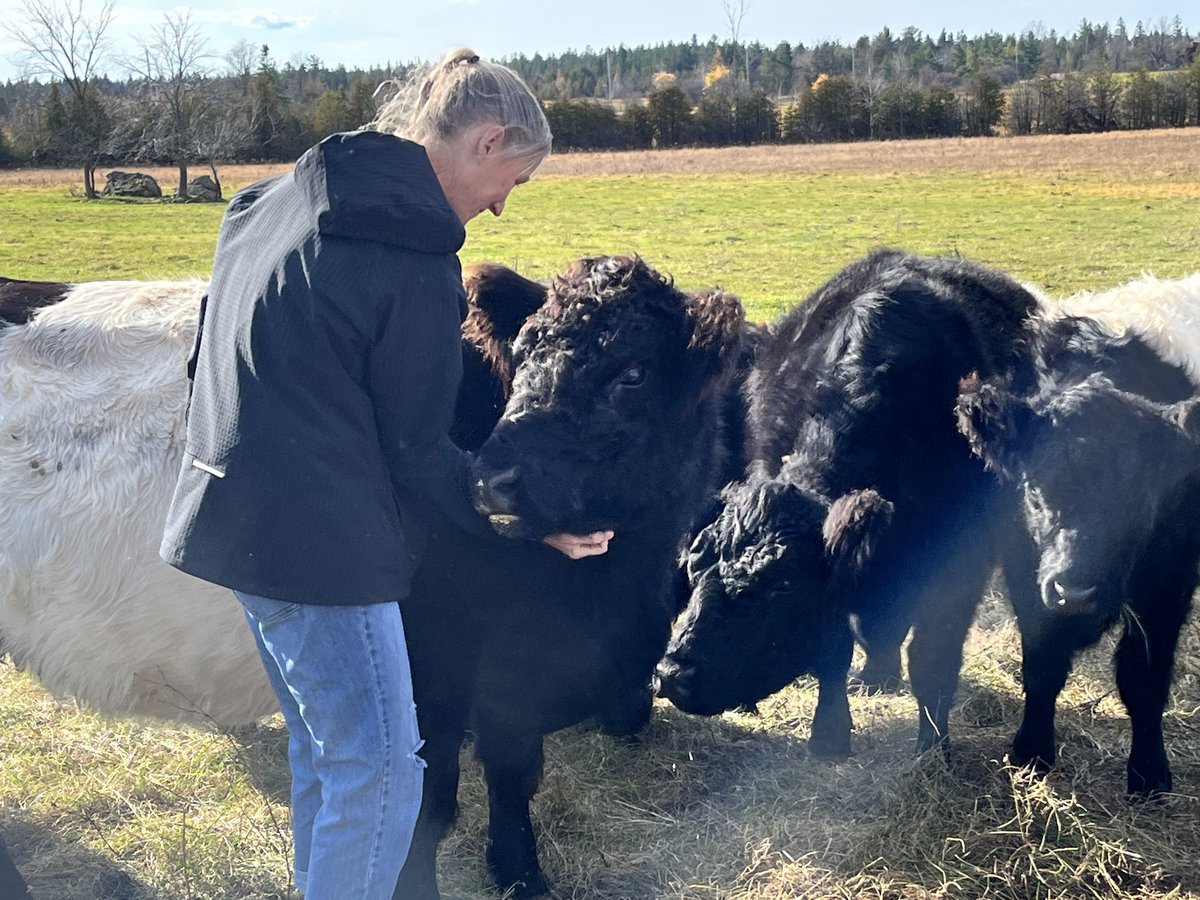 Robin Jordan tweet media