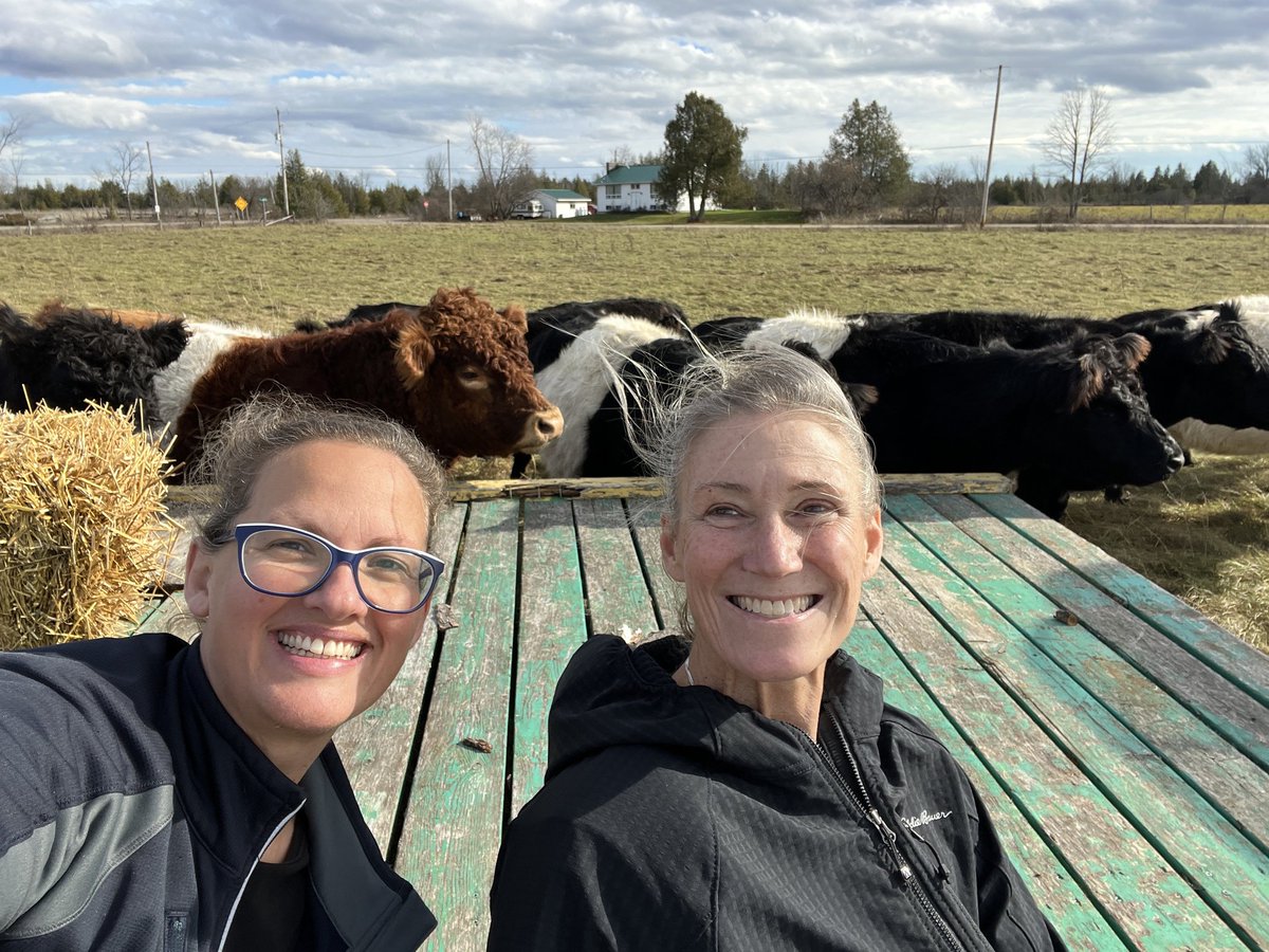 Robin Jordan tweet media