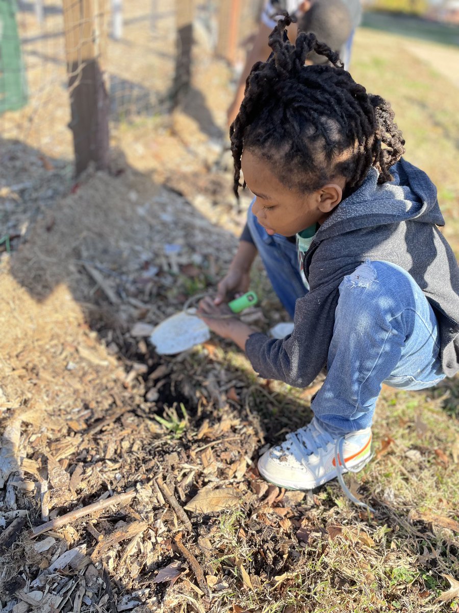 Jackson Park Elementary tweet media