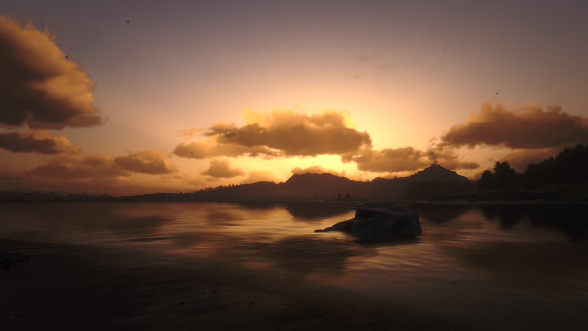 TargaRay's tweet image. #RedDeadRedemption2