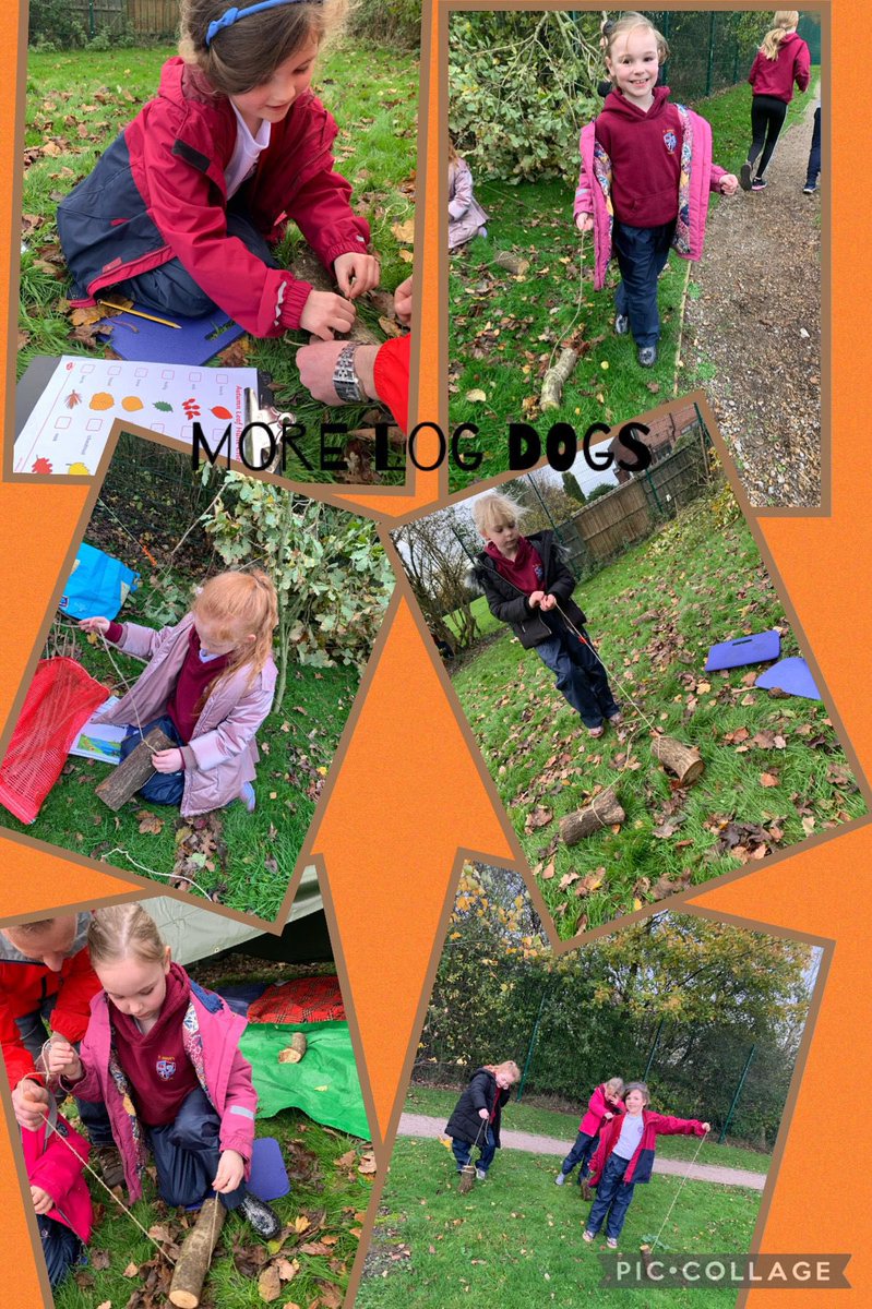 Year 2 with Miss J tweet media