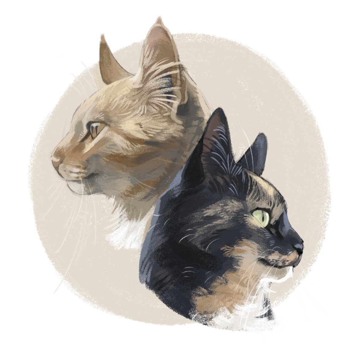 「Painted my parents' cats for a christmas」|Finchのイラスト