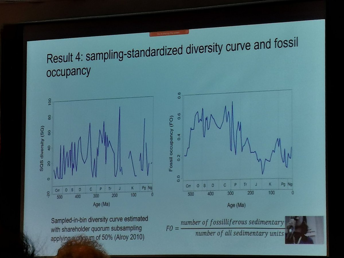 Baran Karapunar tweet media
