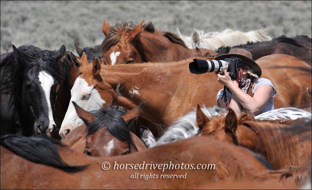 EPNet's tweet image. Join us for the fun and excitement in 2023, this is an event like no other!
equinephotographers.org/sombrero-ranch…