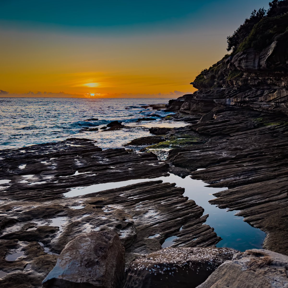 ׳הַשֶּׁ֖מֶשׁ יָצָ֣א עַל־הָאָ֑רֶץ׳
Sunrise at #BondiBeach 
#פרשת_וירא 
#שבת_שלום