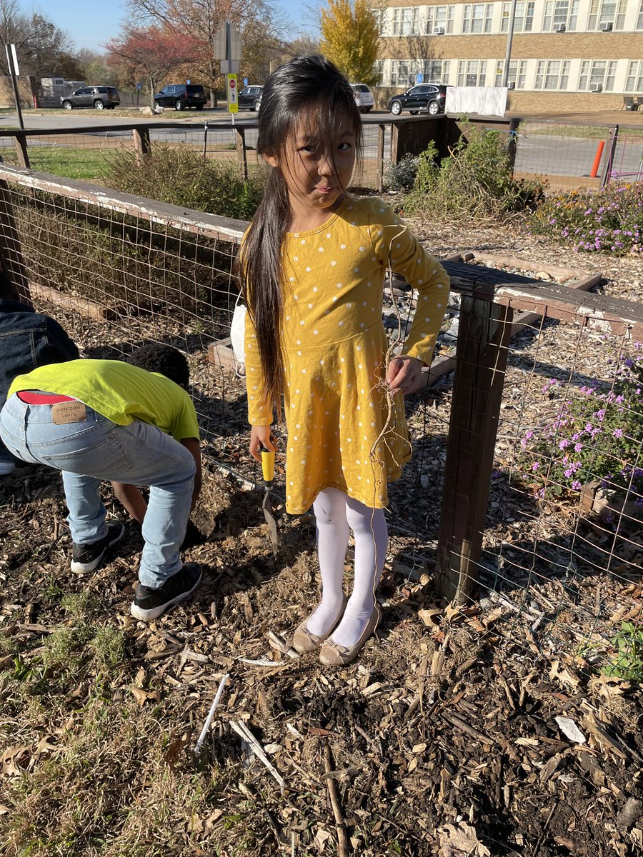 UCITYLEARNS (@ucitylearns) on Twitter photo Today each of our <a href="/UCitySchools/">UCity Schools</a> Outdoor STEAM labs received milkweed plants from The Missouri Department of Conservation 🌱 We hope to encourage more monarch butterflies to 63130 🦋 this coming Spring. Stay tuned! Today each of our <a href="/UCitySchools/">UCity Schools</a> Outdoor STEAM labs received milkweed plants from The Missouri Department of Conservation 🌱 We hope to encourage more monarch butterflies to 63130 🦋 this coming Spring. Stay tuned!